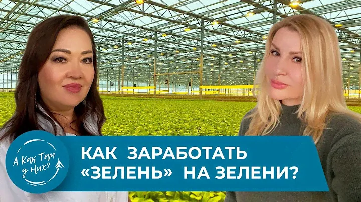 Зарина Самигуллина. Теплицы Green Eco,риски и прибыль в зеленом бизнесе, и уход от Нурлана Смагулова
