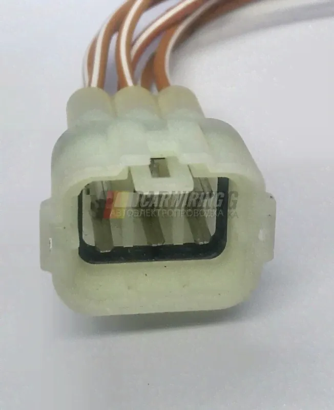 6187-6561 - Разъем шестиконтактный заднего фонаря для а/м Man (арт.222/1)