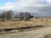 Зеленоградский муниципальный округ, коттеджный посёлок Арт Баден Парк земельный участок 10.85 соток