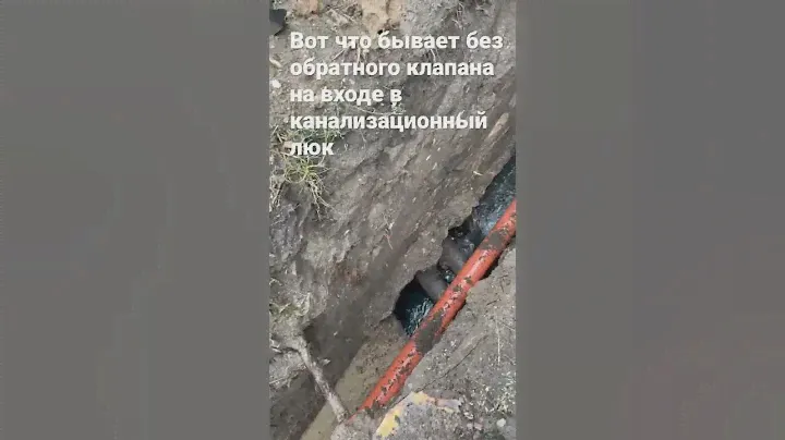 Обратный клапан на входе в канализационный люк необходим