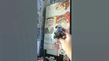 как менялись мои игрушки, хотя я разницы особо не вижу 🙂. #рекомендации #хобби #игрушки #милота